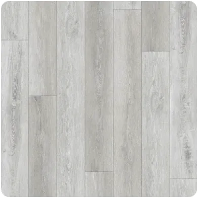 image-thumbnail-canadian_grey